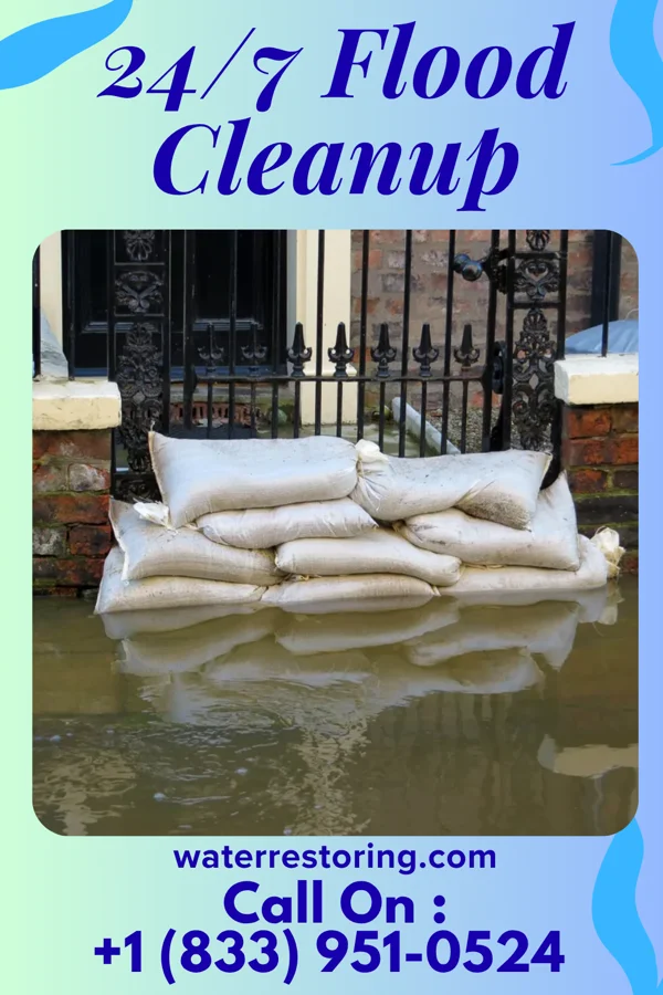 24/7 Flood Cleanup in Tower, MN