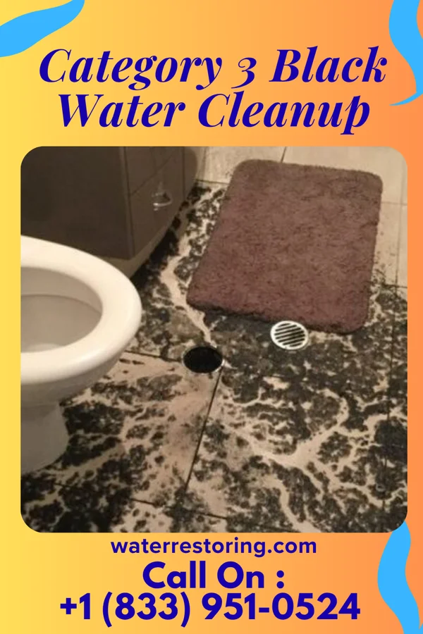 Category 3 Black Water Cleanup in Tower, MN