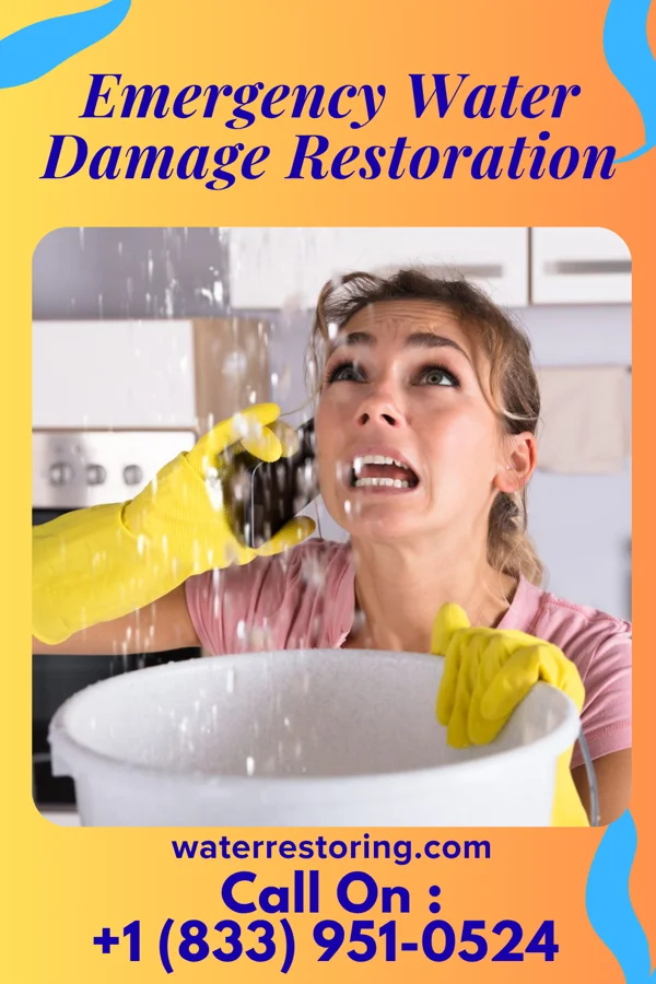 Emergency Water Damage Restoration in Tower, MN
