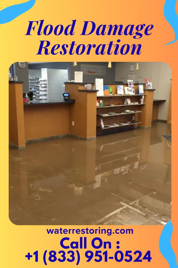 Flood Damage Restoration in Tower, MN