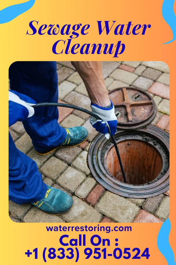 Sewage Water Cleanup in Tower, MN